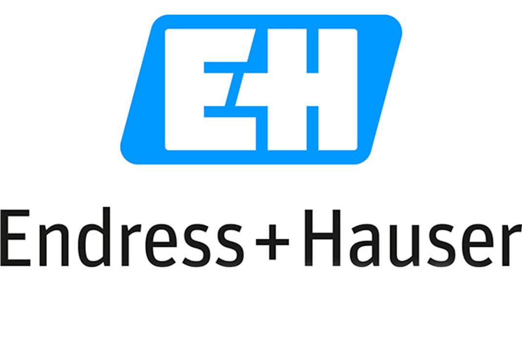 اندرس هاوزر Endress+Hauser